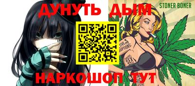 индика Моздок