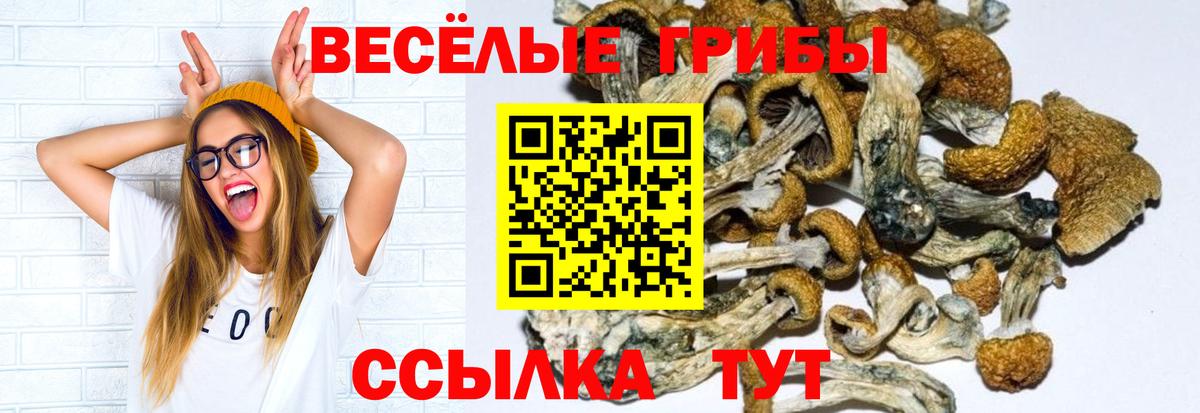 Псилоцибиновые грибы GOLDEN TEACHER Шебекино