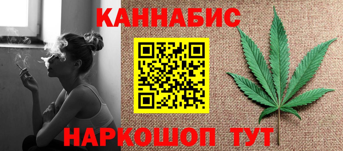 Бошки Шишки план Шебекино